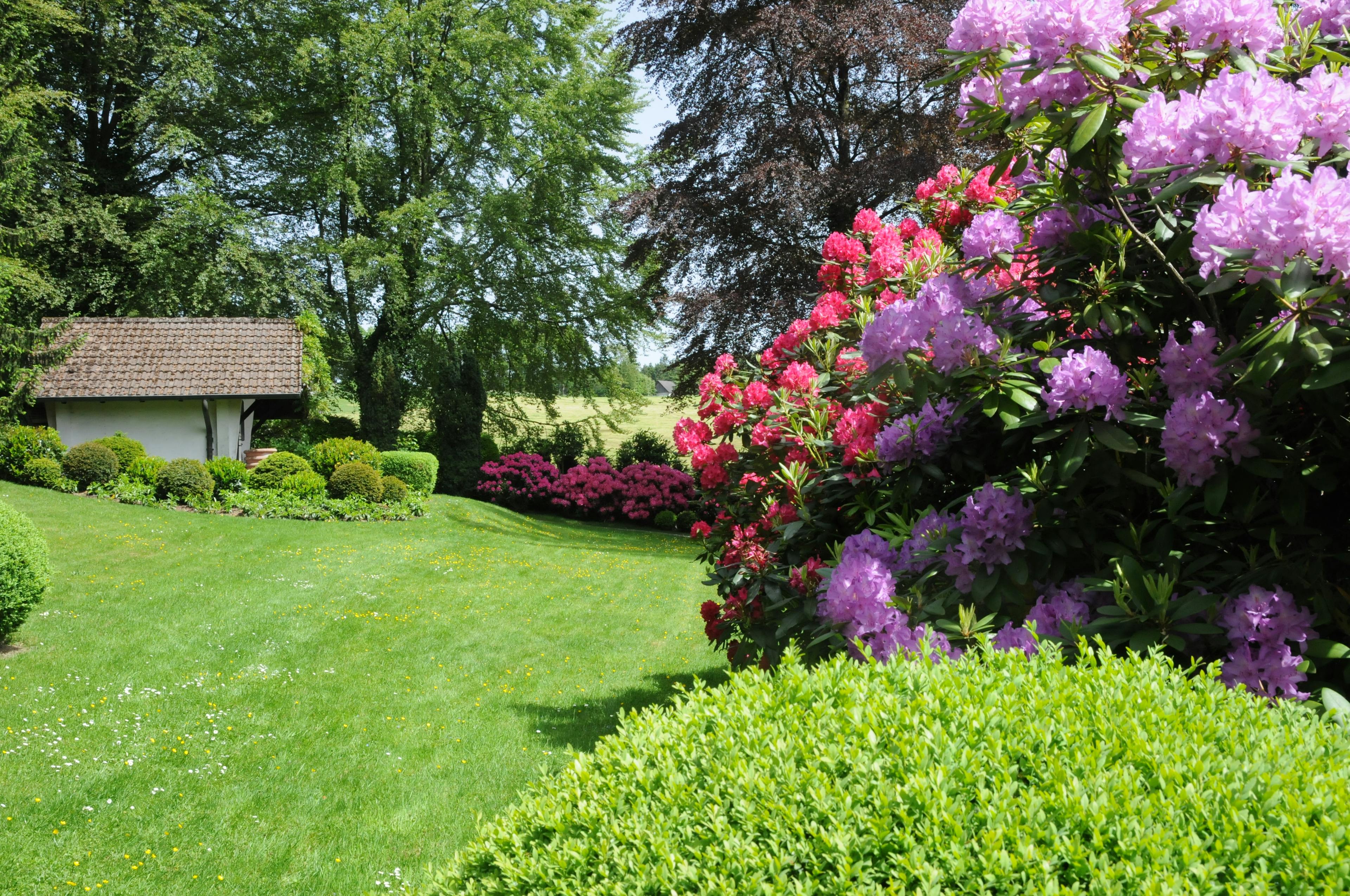 Privatgartenpflege | Garten- und Landschaftsbau Weißmüller