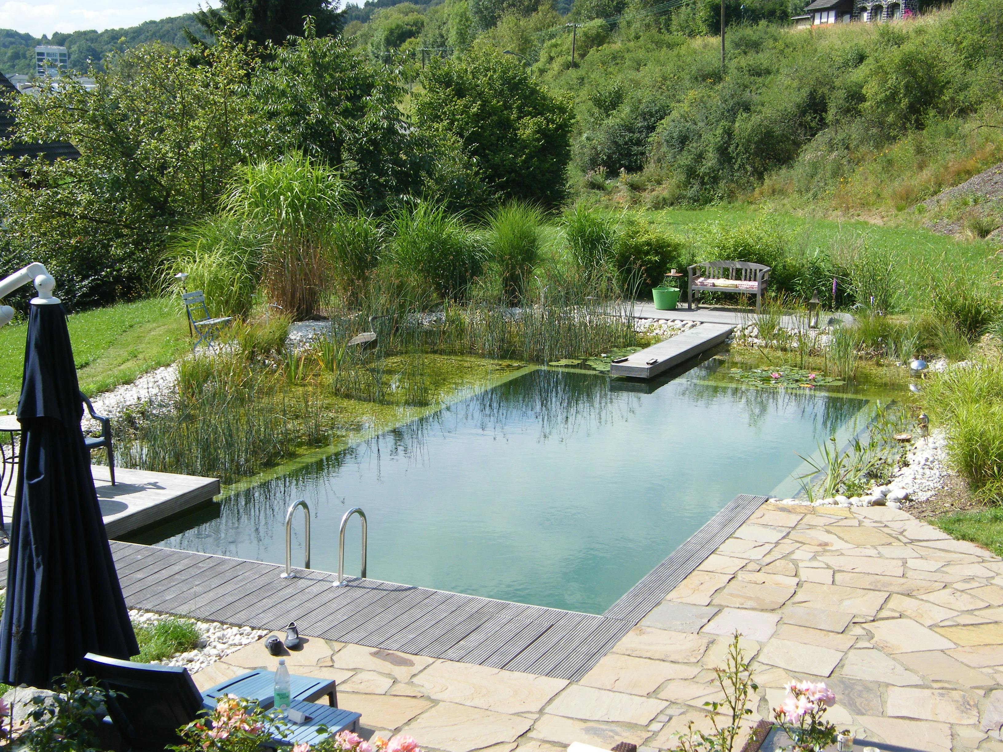 Schwimmteich - Stillgewässer | Garten- und Landschaftsbau Weißmüller