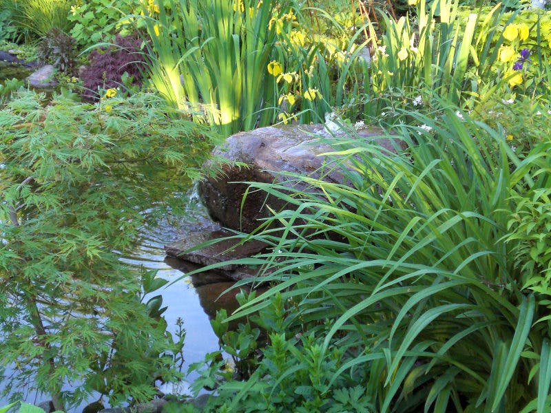 Garten- und Landschaftsbau Weißmüller