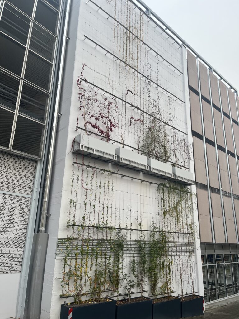 Fassadenbegrünung bei Unternehmen durch Weißmüller Garten & Landschaftsbau