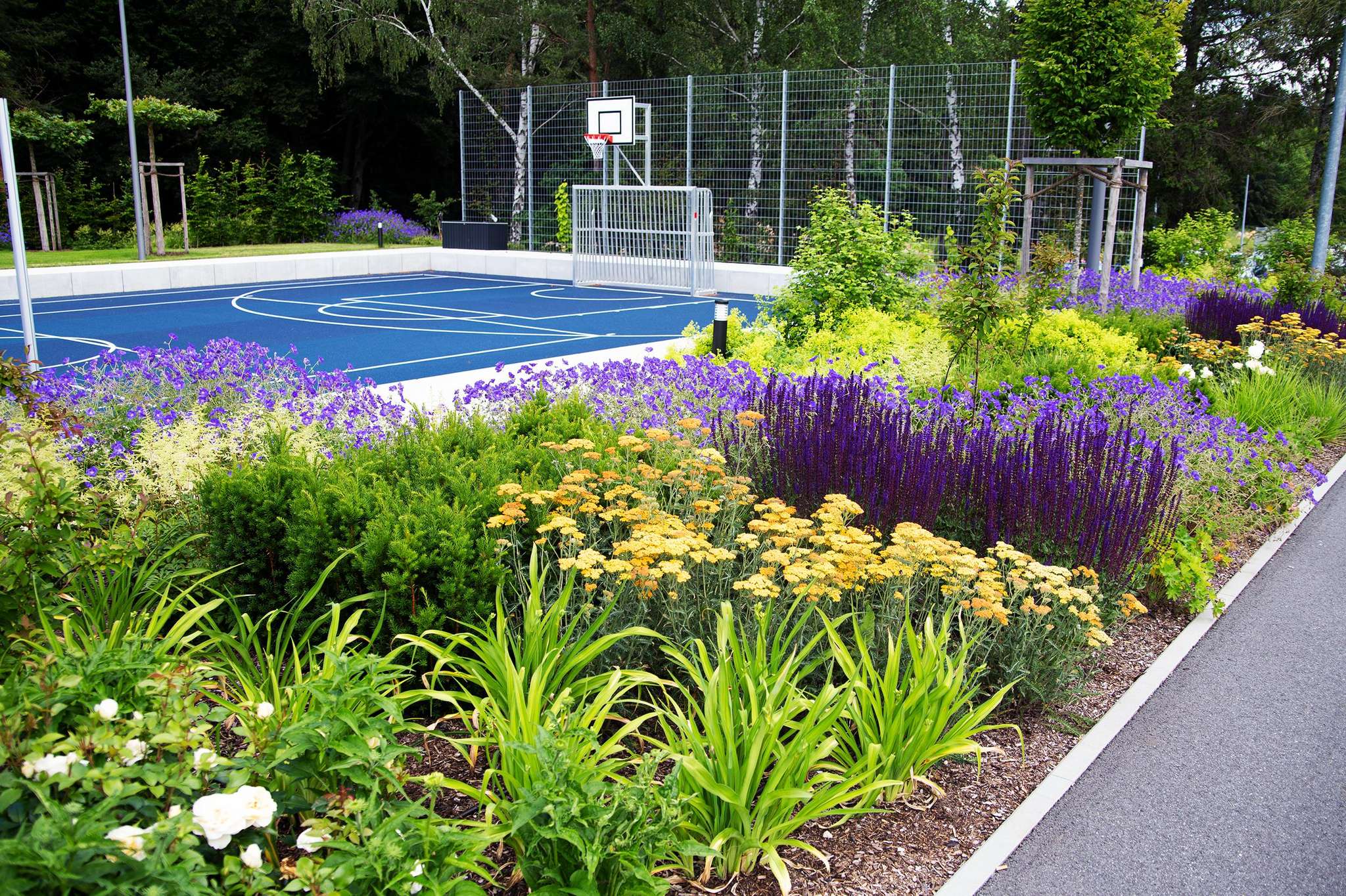 Sportanlage FIT Parsberg gestaltet von Weißmüller Garten- und Landschaftsbau