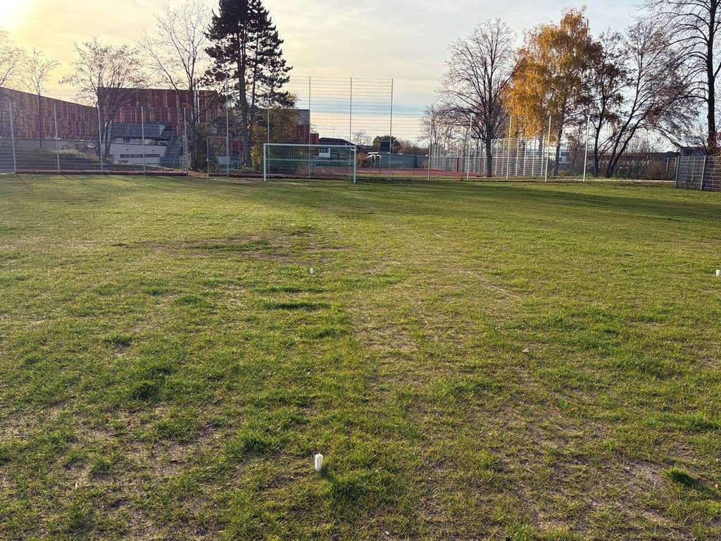 Sportplatz Eckenthal Spielfeld von Weißmüller Garten & Landschaftsbau umgesetzt