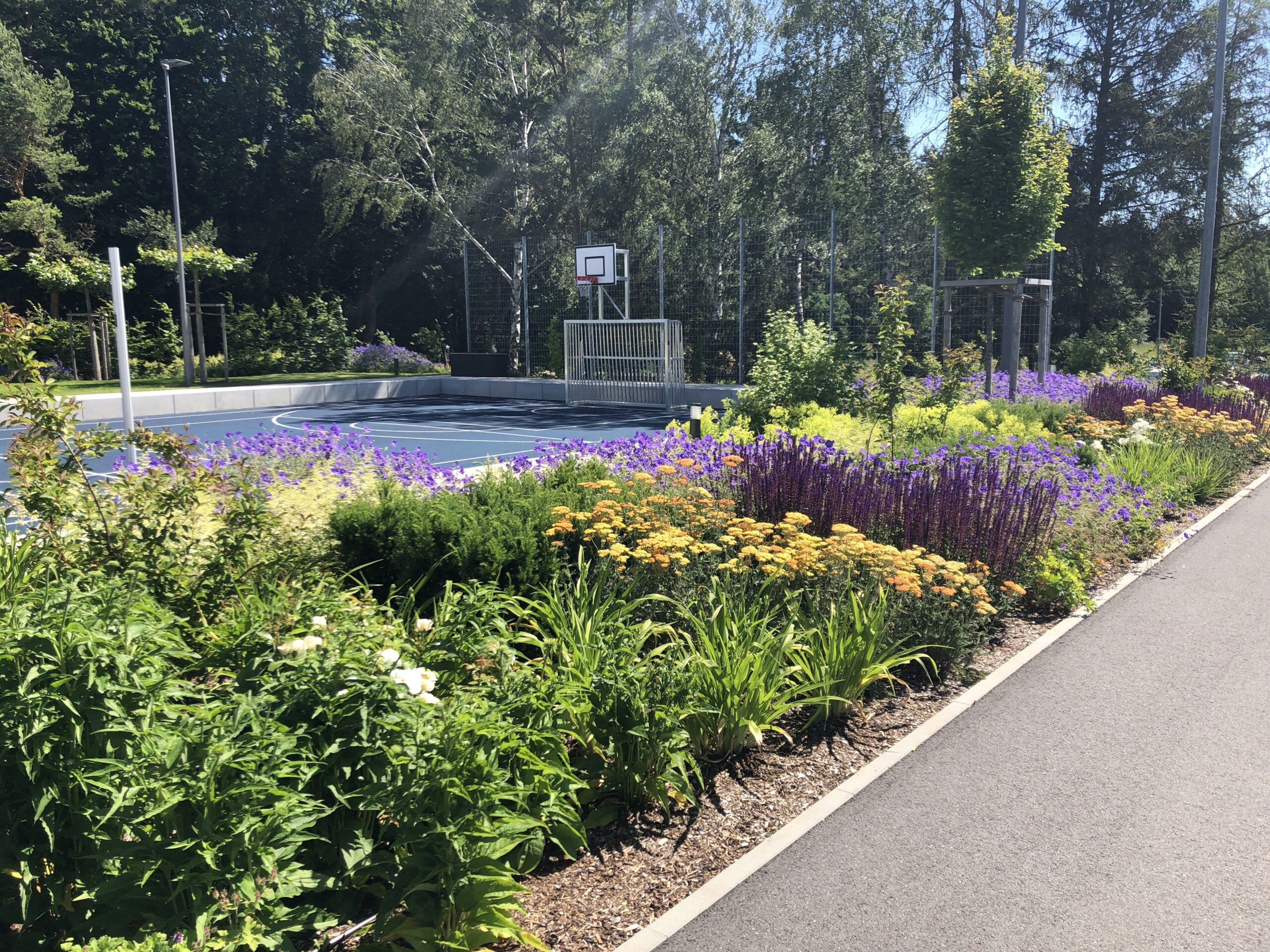 Sportplatz mit Pflanzen